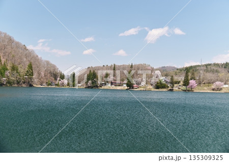 木崎湖の春景色 135309325