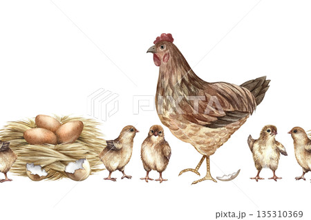 Seamless border with a walking hen and small chicks next to a chicken nest. Hand-drawn watercolor illustration. Design element for packaging, labels, and textiles, also suitable for books, and more. Seamless border with a walking hen and small chicks next to a chicken nest. Hand-drawn watercolor illustration. Design element for packaging, labels, and textiles, also suitable for books, and more. 135310369