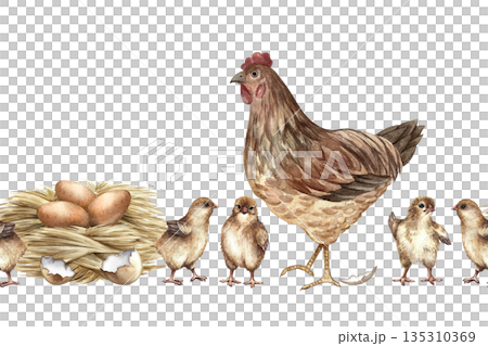 Seamless border with a walking hen and small chicks next to a chicken nest. Hand-drawn watercolor illustration. Design element for packaging, labels, and textiles, also suitable for books, and more. Seamless border with a walking hen and small chicks next to a chicken nest. Hand-drawn watercolor illustration. Design element for packaging, labels, and textiles, also suitable for books, and more. 135310369