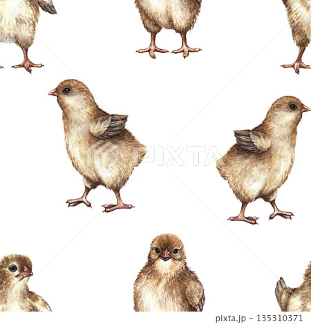 Seamless pattern with cute little chickens. Hand-drawn watercolor illustration. Perfect for farm projects, Easter, textiles, packaging and labels, wallpaper, and more 135310371