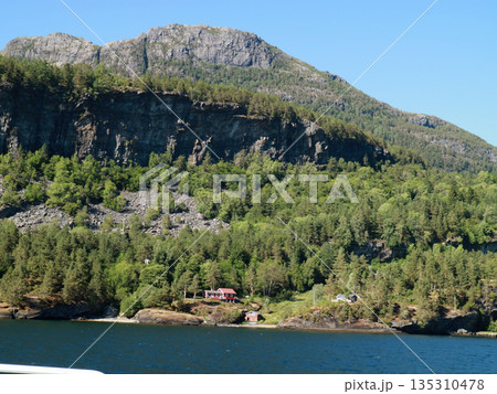 ノルウェーのハダンゲンフィヨルド沿岸沿いの風景 ノルウェーのハダンゲンフィヨルド沿岸沿いの風景 135310478