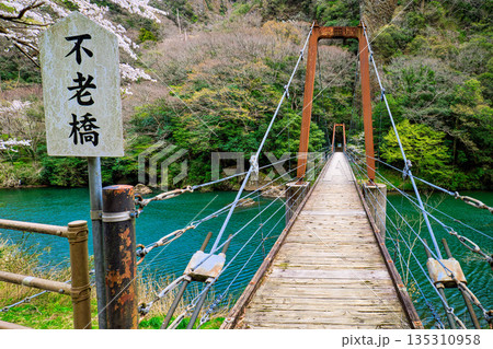 〈島根県〉春の立久恵峡に架かる不老橋 〈島根県〉春の立久恵峡に架かる不老橋 135310958