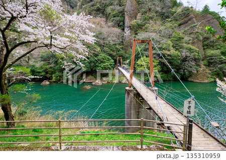 〈島根県〉春の立久恵峡に架かる不老橋 135310959