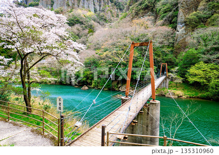 〈島根県〉春の立久恵峡に架かる不老橋 135310960
