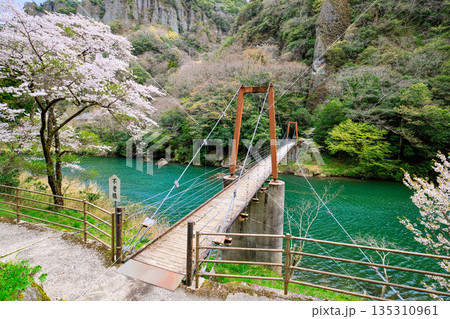 〈島根県〉春の立久恵峡に架かる不老橋 135310961