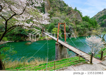 〈島根県〉春の立久恵峡に架かる不老橋 135310963