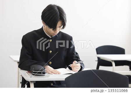 勉強する男子高校生 勉強する男子高校生 135311066