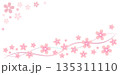 桜の花と波線の背景素材イラスト 桜の花と波線の背景素材イラスト 135311110