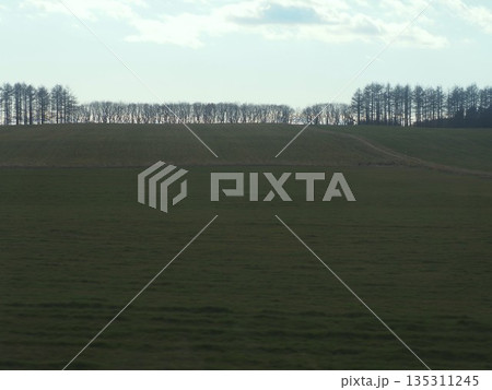 ツアーバスの車窓から見えた晩秋の北海道の草原 ツアーバスの車窓から見えた晩秋の北海道の草原 135311245