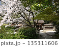 神社とサクラ 135311606