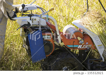 稲刈りイメージ　手押しの稲刈り機バインダーを使って稲を刈る男性手元 135312021