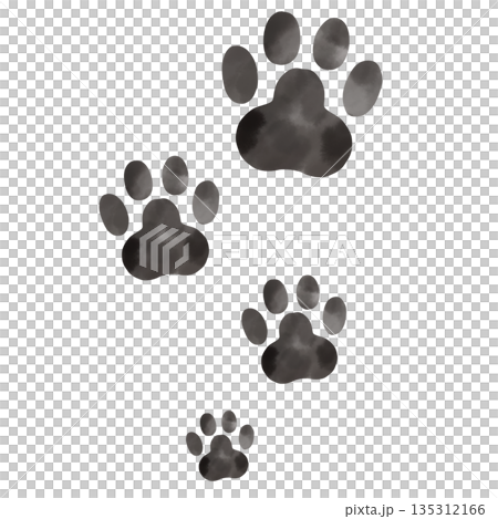 Watercolor illustration of paw prints arranged vertically in large and small sizes 135312166