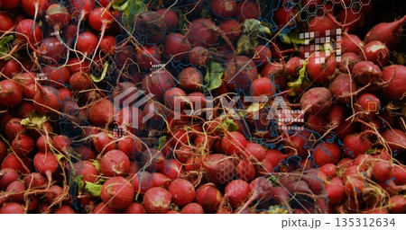 Showing red radishes revealing roots and green leaf tips in produce display, with hex grid overlay Showing red radishes revealing roots and green leaf tips in produce display, with hex grid overlay 135312634