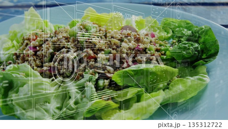 Arranging lettuce cups filled with grain salad on pale-blue plate in kitchen, showing UI panels Arranging lettuce cups filled with grain salad on pale-blue plate in kitchen, showing UI panels 135312722
