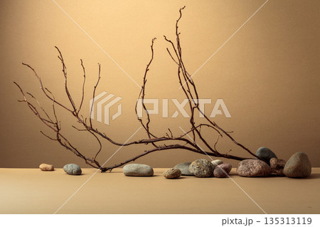 An intricately entwined branches and smooth stones against a beige background. An intricately entwined branches and smooth stones against a beige background. 135313119