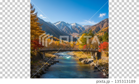 山葉』 山葉』 135313189