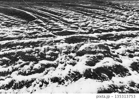 雪が吹き付ける砂浜　モノクロ 135313753