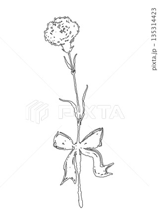 母の日のカーネーションの手書き線画イラスト素材（フレーム・リース・花束など） 135314423