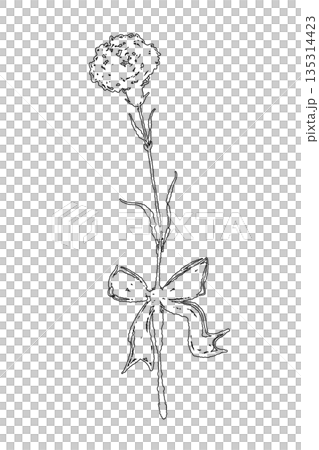 母の日のカーネーションの手書き線画イラスト素材（フレーム・リース・花束など） 135314423