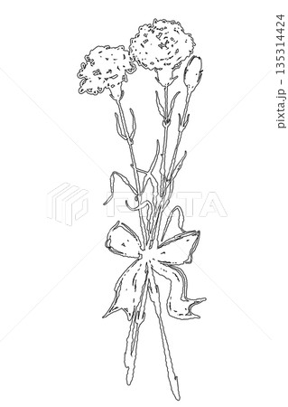 母の日のカーネーションの手書き線画イラスト素材（フレーム・リース・花束など） 135314424