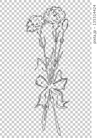 母の日のカーネーションの手書き線画イラスト素材（フレーム・リース・花束など） 135314424