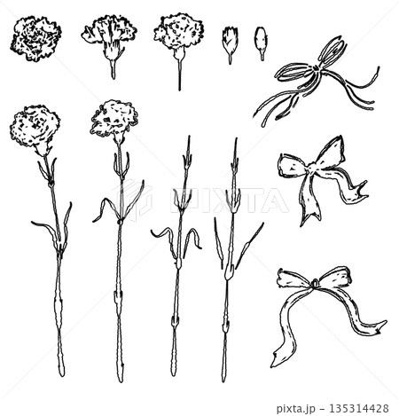 母の日のカーネーションの手書き線画イラスト素材（フレーム・リース・花束など） 135314428