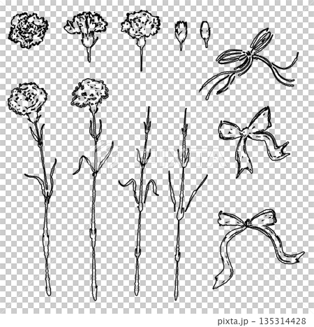 母の日のカーネーションの手書き線画イラスト素材（フレーム・リース・花束など） 135314428