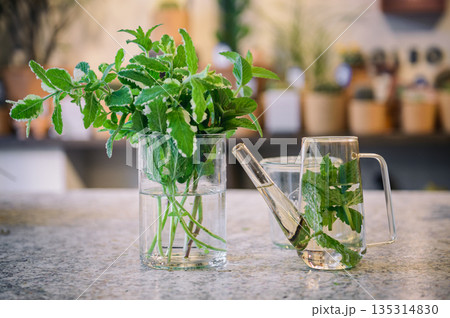 水耕栽培のミントとガラスポットのイメージ　ハーブのある暮らしを提案するインテリア 135314830