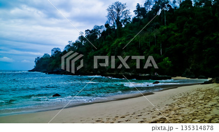 beautiful view of Green Bay Beach, Banyuwangi, East Java, Indonesia 135314878