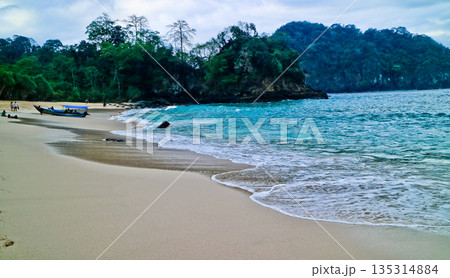 beautiful view of Green Bay Beach, Banyuwangi, East Java, Indonesia beautiful view of Green Bay Beach, Banyuwangi, East Java, Indonesia 135314884