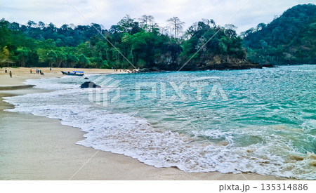 beautiful view of Green Bay Beach, Banyuwangi, East Java, Indonesia beautiful view of Green Bay Beach, Banyuwangi, East Java, Indonesia 135314886
