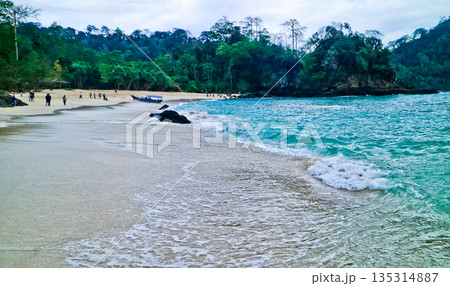 beautiful view of Green Bay Beach, Banyuwangi, East Java, Indonesia beautiful view of Green Bay Beach, Banyuwangi, East Java, Indonesia 135314887