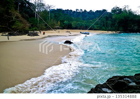 beautiful view of Green Bay Beach, Banyuwangi, East Java, Indonesia beautiful view of Green Bay Beach, Banyuwangi, East Java, Indonesia 135314888