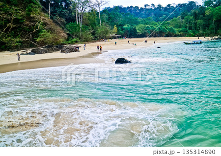beautiful view of Green Bay Beach, Banyuwangi, East Java, Indonesia beautiful view of Green Bay Beach, Banyuwangi, East Java, Indonesia 135314890