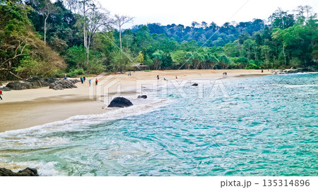 beautiful view of Green Bay Beach, Banyuwangi, East Java, Indonesia beautiful view of Green Bay Beach, Banyuwangi, East Java, Indonesia 135314896