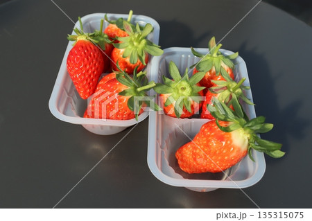 いちご狩り　いちご農園　ハウス栽培　1月　シーズン　家族　友人　ビタミン　赤色　果物　フルーツ 135315075