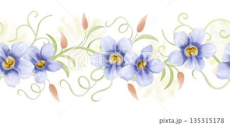 Watercolor garden vine with pastel purple flowers seamless border isolated on white. Spring tropical blossom repeat horizontal banner. Hand drawn climbing liana for summer nature floral designs Watercolor garden vine with pastel purple flowers seamless border isolated on white. Spring tropical blossom repeat horizontal banner. Hand drawn climbing liana for summer nature floral designs 135315178