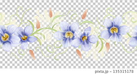 Watercolor garden vine with pastel purple flowers seamless border isolated on white. Spring tropical blossom repeat horizontal banner. Hand drawn climbing liana for summer nature floral designs Watercolor garden vine with pastel purple flowers seamless border isolated on white. Spring tropical blossom repeat horizontal banner. Hand drawn climbing liana for summer nature floral designs 135315178