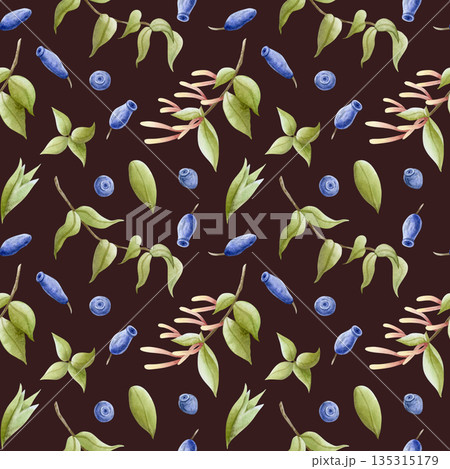 Blue honeysuckle berries with blooming branches watercolor seamless pattern on dark brown. Hand drawn realistic garden plant with flowers blossom for summer backgrounds and fabrics Blue honeysuckle berries with blooming branches watercolor seamless pattern on dark brown. Hand drawn realistic garden plant with flowers blossom for summer backgrounds and fabrics 135315179