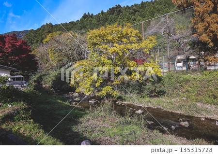 Nov 23 2025 Scenic Ohara Countryside Landscape in Rural Kyoto 135315728