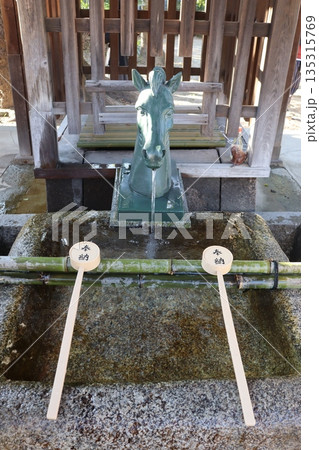 藤本神社　京都市伏見区　干支　午年　馬　勝ち馬　左馬　競馬　手水舎　お清め　神馬　 135315769