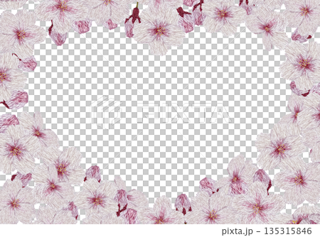 【桜の花のハートフレーム】手刺繍イラスト素材 135315846