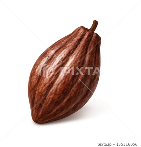 チョコレート カカオポッド イラスト リアル 135316056