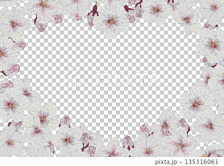【桜の花のハートフレーム】手刺繍イラスト素材 135316061