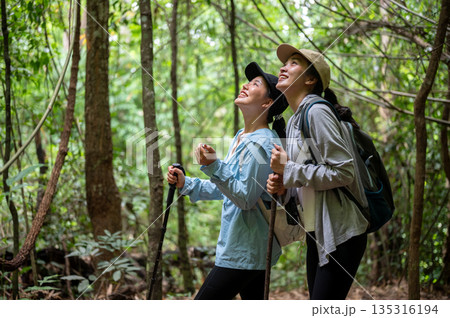 Asian tourist woman friend couple standing holding trekking cane looking up while hiking in forest Asian tourist woman friend couple standing holding trekking cane looking up while hiking in forest 135316194