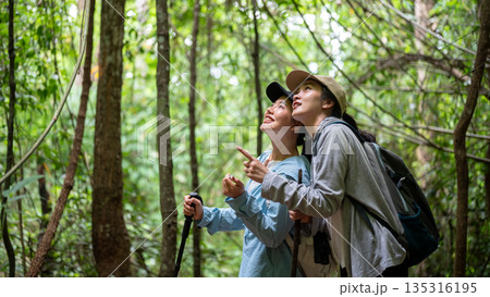 Asian tourist woman friends couple standing holding trekking cane and looking up as hiking in forest Asian tourist woman friends couple standing holding trekking cane and looking up as hiking in forest 135316195