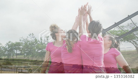 Raising arms six women in pink athletic wear high-fiving in grassy park, with exercise frame 135316382