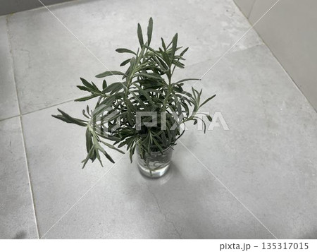 lavender in vase on the gray background 135317015