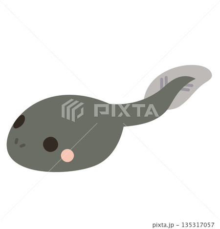 パステルカラーで描かれたかわいいおたまじゃくしのイラスト パステルカラーで描かれたかわいいおたまじゃくしのイラスト 135317057