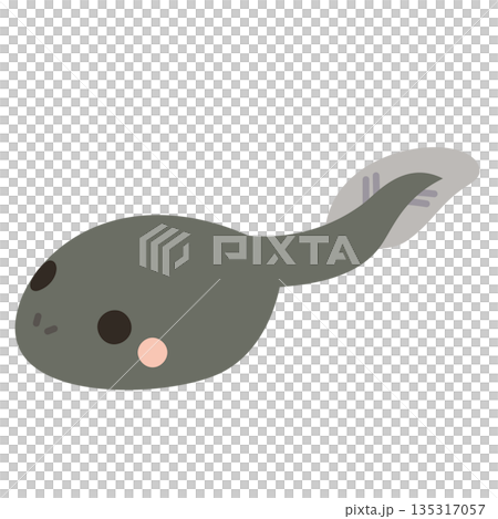 パステルカラーで描かれたかわいいおたまじゃくしのイラスト パステルカラーで描かれたかわいいおたまじゃくしのイラスト 135317057